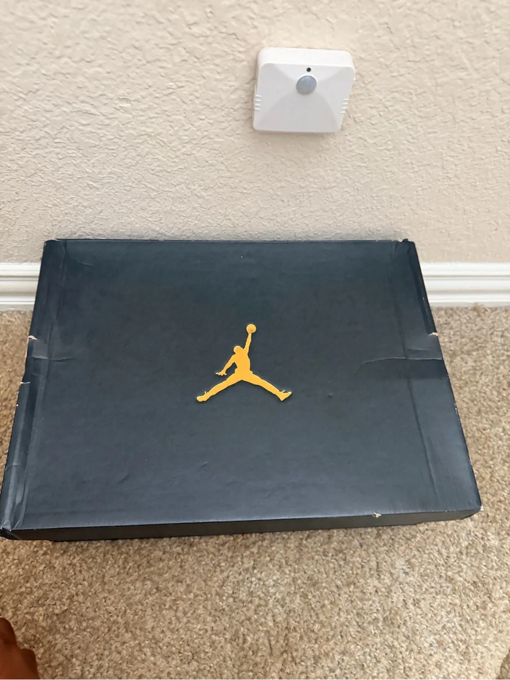 Jordan 6 rings